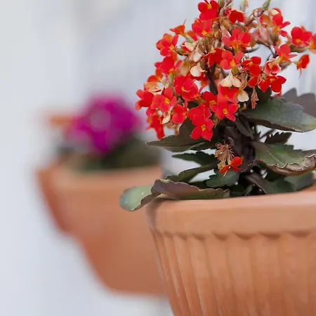 Casa Da Avenida Apartmán *